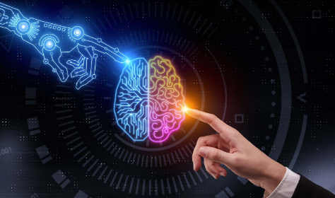 The Role of Automation in Business Optimization